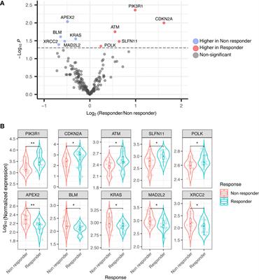 DNA damage response and repair genes in advanced bone and soft tissue sarcomas: An 8-gene signature as a candidate predictive biomarker of response to trabectedin and olaparib combination